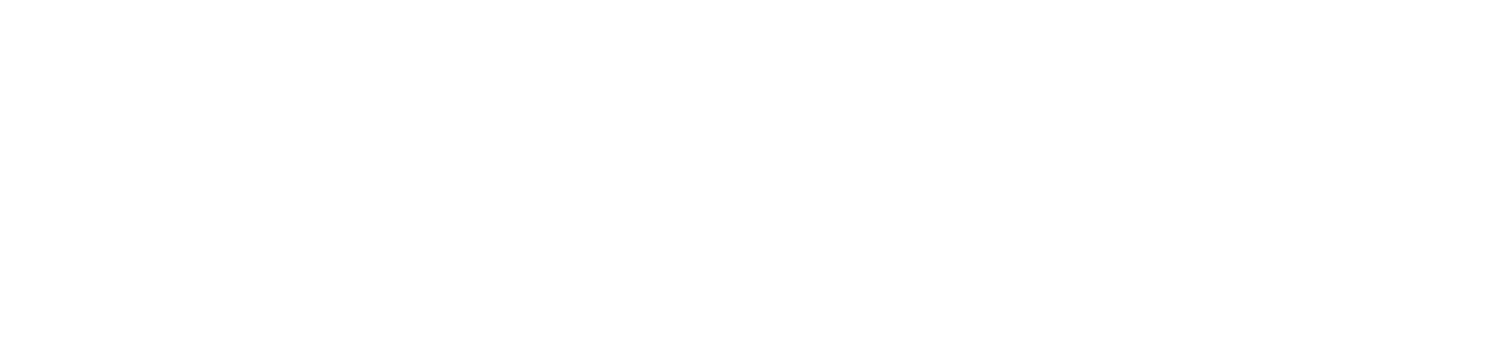 CCN_Logo_Wide_White
